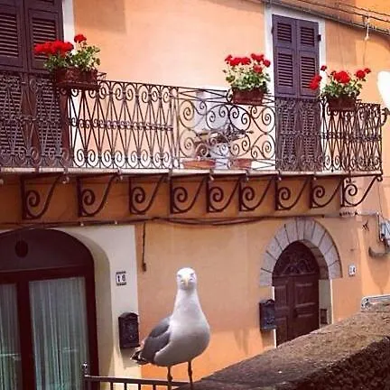 Alojamento de Acomodação e Pequeno-almoço L'appogghju Castelsardo